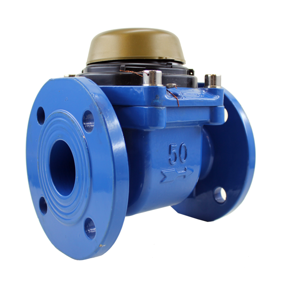 WS50, WS65, WS80 Cold Water Meters (DN50, DN65, DN80)